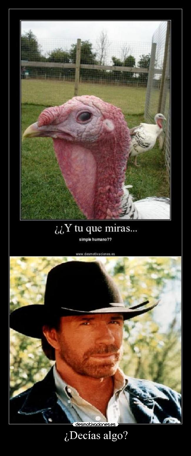 carteles decias algo desmotivaciones