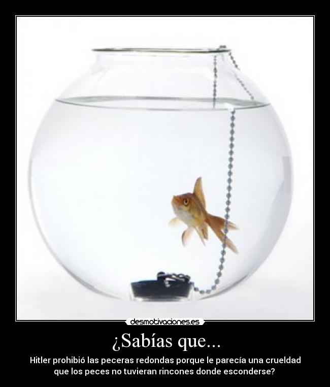 ¿Sabías que... -