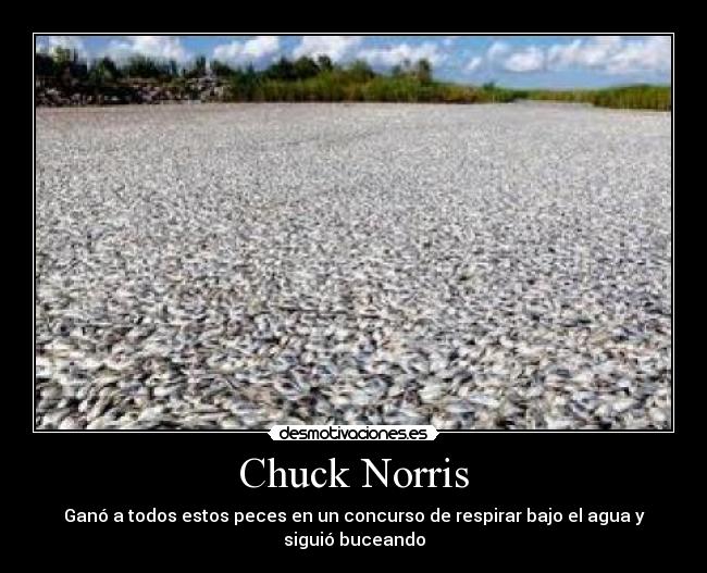 Chuck Norris - Ganó a todos estos peces en un concurso de respirar bajo el agua y siguió buceando