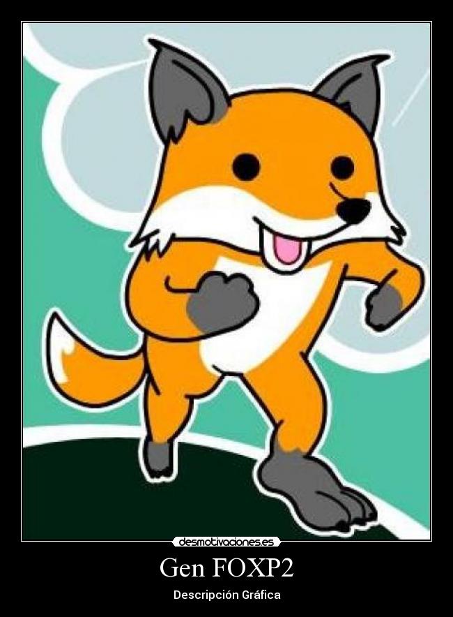 Gen FOXP2 - Descripción Gráfica