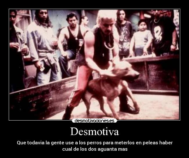 carteles desmotivaciones