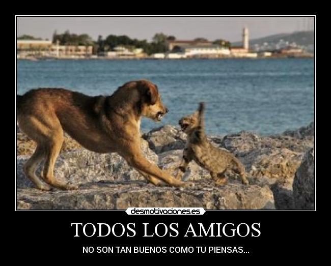 TODOS LOS AMIGOS - NO SON TAN BUENOS COMO TU PIENSAS...