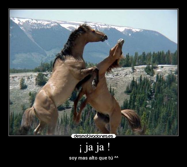 carteles pimpampumtomalacasitos desmotivaciones