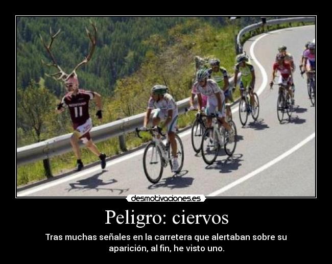 carteles ciervos peligro carretera ciclistas desmotivaciones