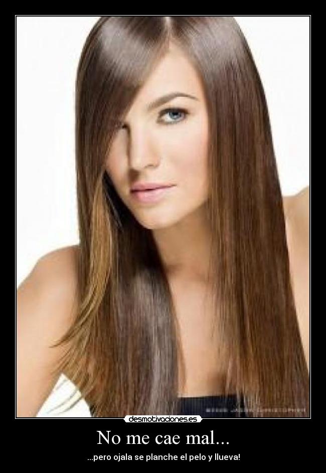 carteles lluviahumedadplancha pelo desmotivaciones