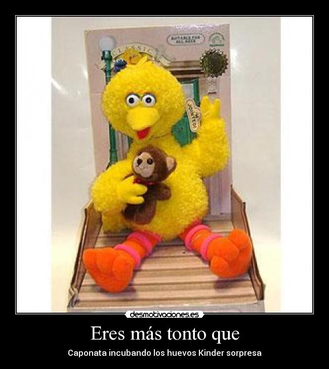 carteles tonto eres mas tonto que desmotivaciones