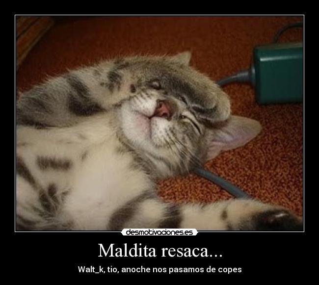 Maldita resaca... -