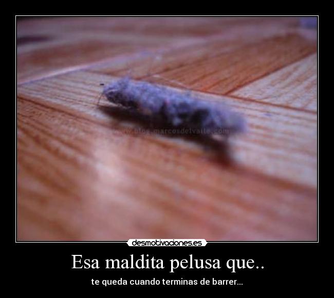 Esa maldita pelusa que.. - te queda cuando terminas de barrer...