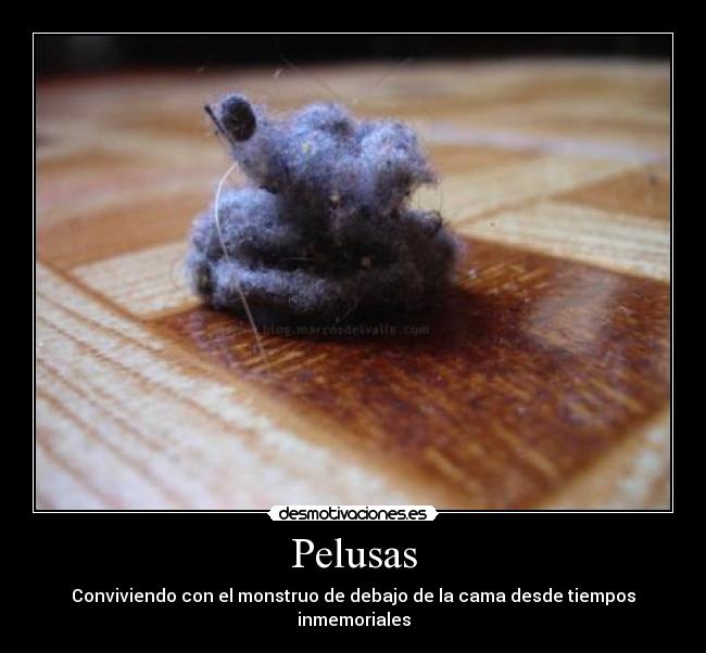 Pelusas - 