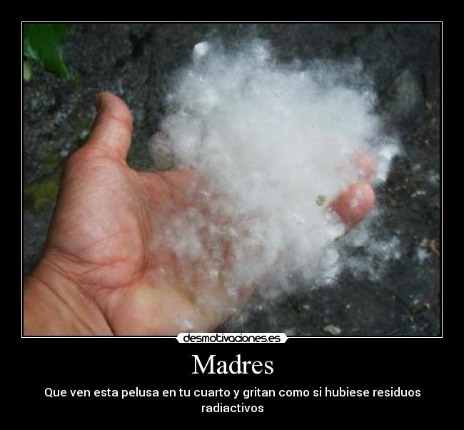 Madres - 