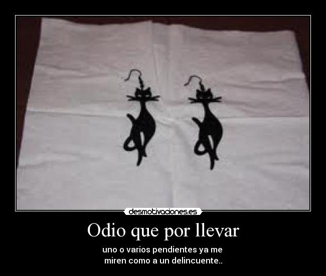 Odio que por llevar - uno o varios pendientes ya me
miren como a un delincuente..