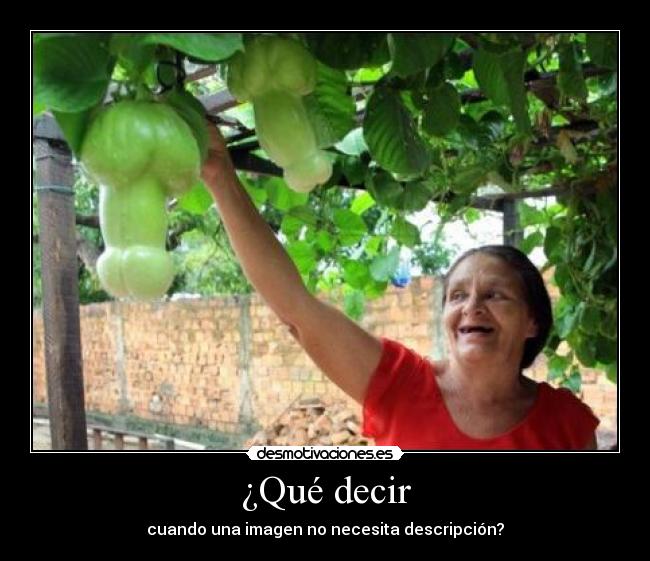 ¿Qué decir - cuando una imagen no necesita descripción?