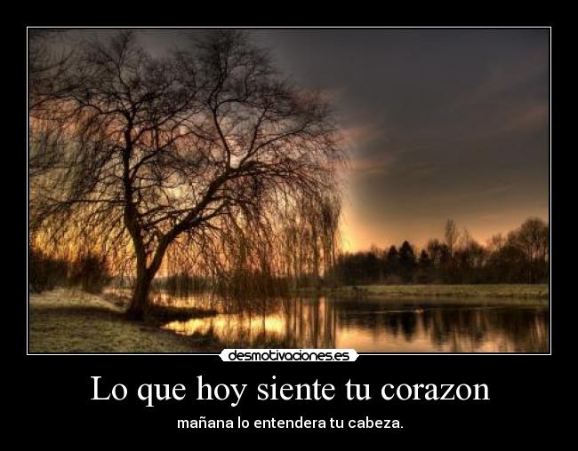 carteles corazon oooooooooooooooooooooooooooooooooooooppppppppppppppp desmotivaciones