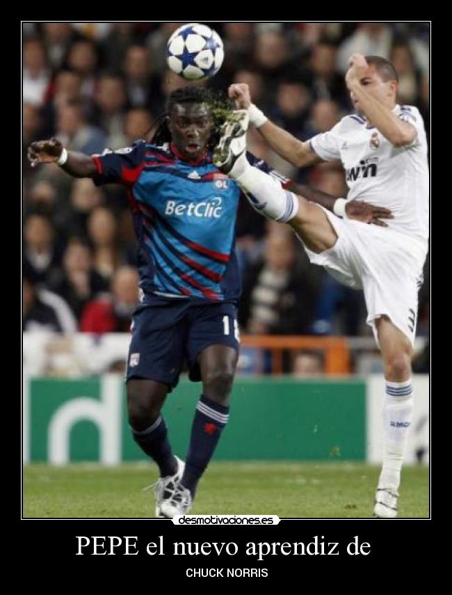 PEPE el nuevo aprendiz de  - CHUCK NORRIS