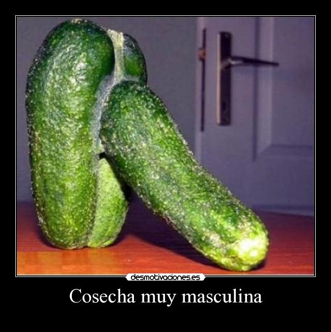 Cosecha muy masculina -