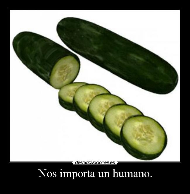 Nos importa un humano. -