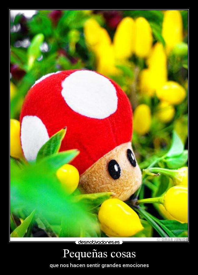 Pequeñas cosas - que nos hacen sentir grandes emociones