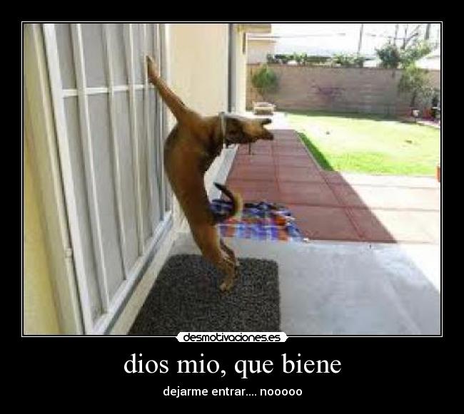 dios mio, que biene -