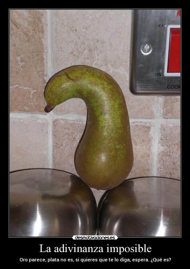 La adivinanza imposible - Oro parece, plata no es, si quieres que te lo diga, espera. ¿Qué es?