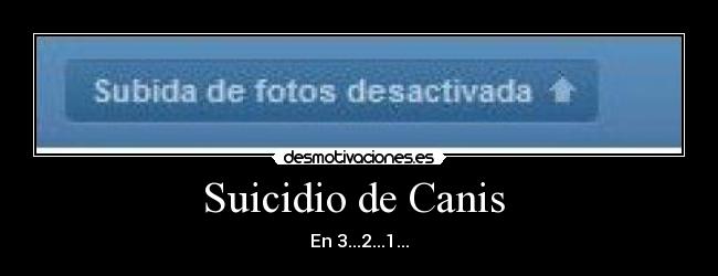 Suicidio de Canis  - En 3...2...1...