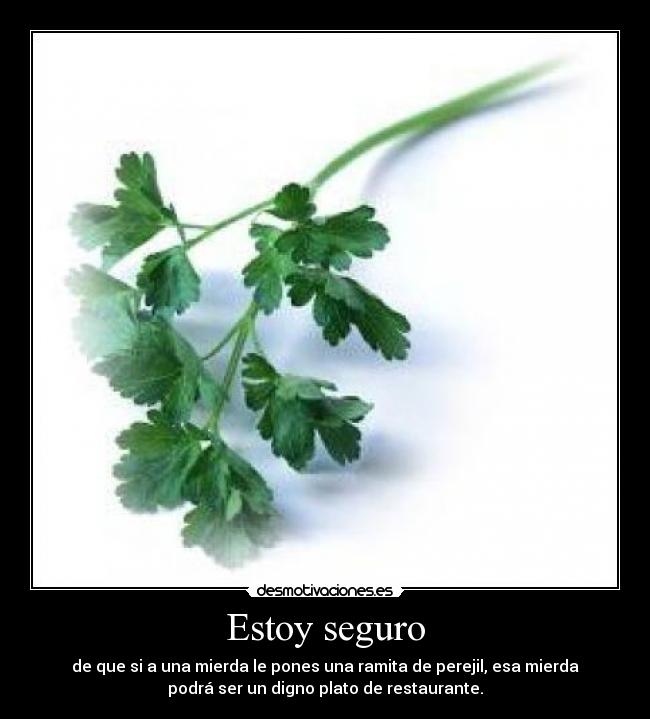 carteles estoy seguro desmotivaciones