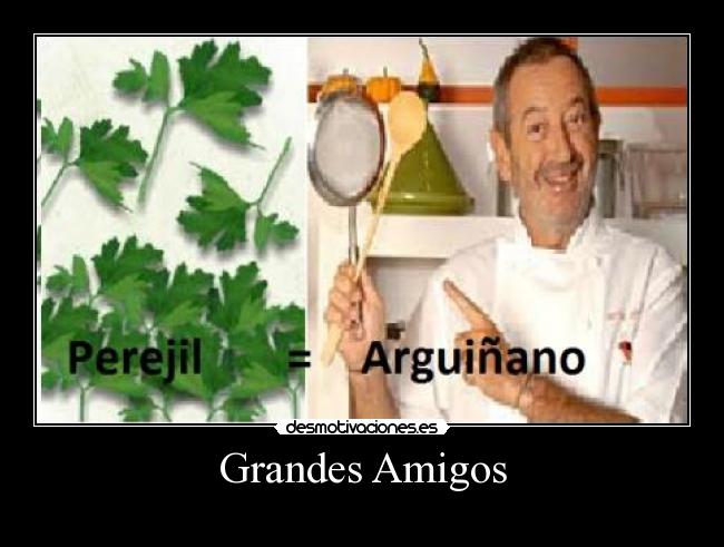 Grandes Amigos - 