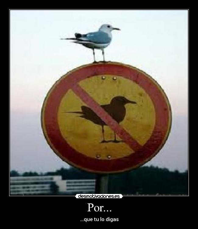 Por... - 