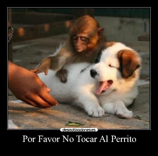 Por Favor No Tocar Al Perrito -