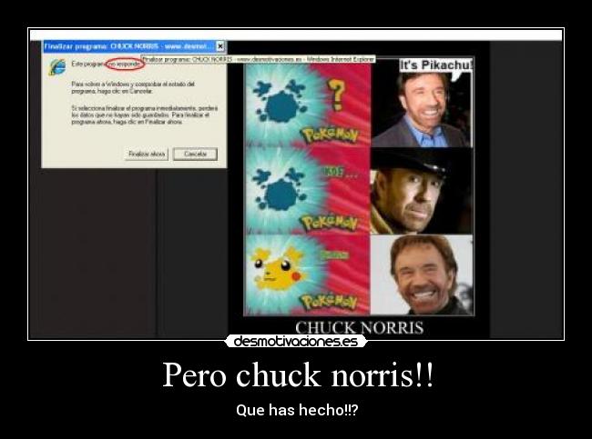 Pero chuck norris!! - Que has hecho!!?