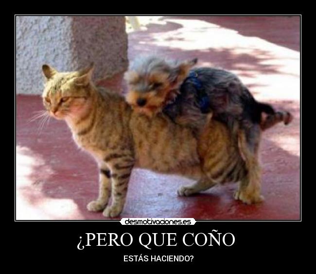 ¿PERO QUE COÑO - ESTÁS HACIENDO?