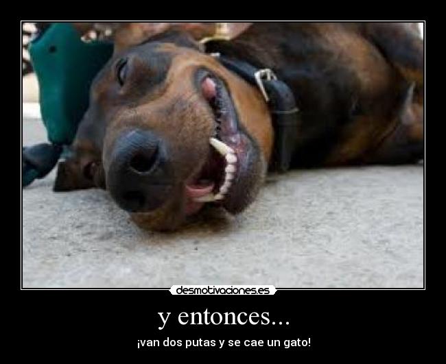 y entonces... - ¡van dos putas y se cae un gato!