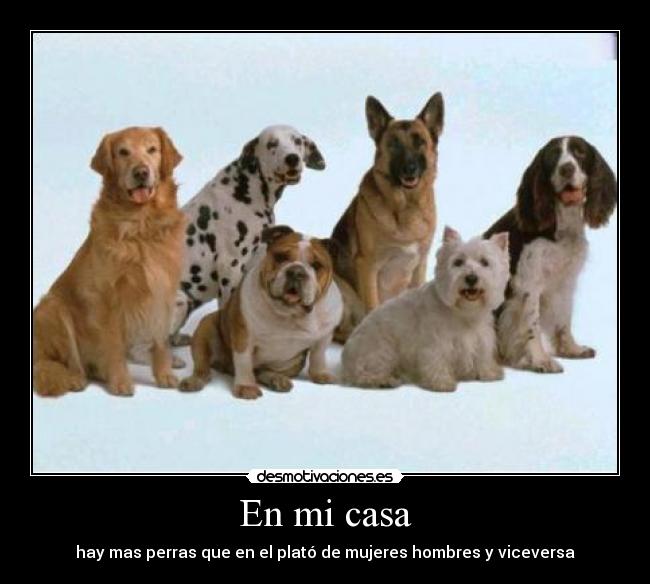 En mi casa - hay mas perras que en el plató de mujeres hombres y viceversa