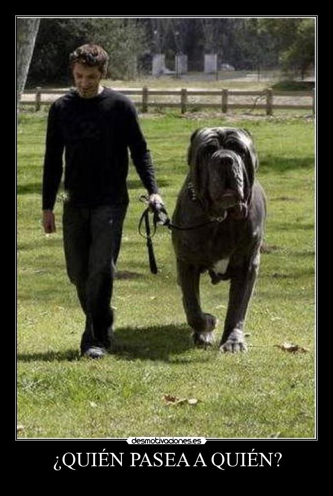 ¿QUIÉN PASEA A QUIÉN? -