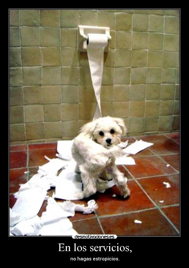 En los servicios, - no hagas estropicios.