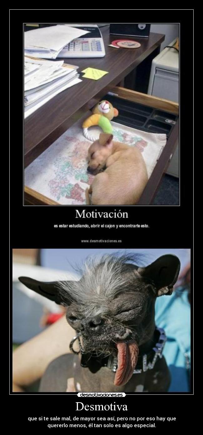Desmotiva - que si te sale mal, de mayor sea así, pero no por eso hay que
quererlo menos, él tan solo es algo especial.