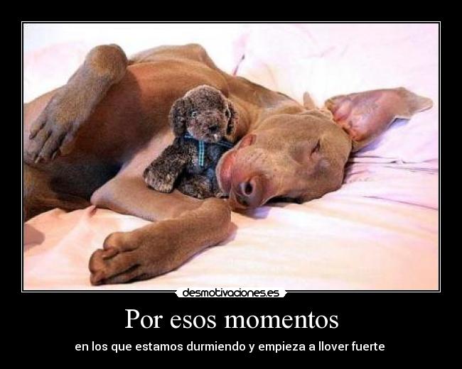 Por esos momentos -