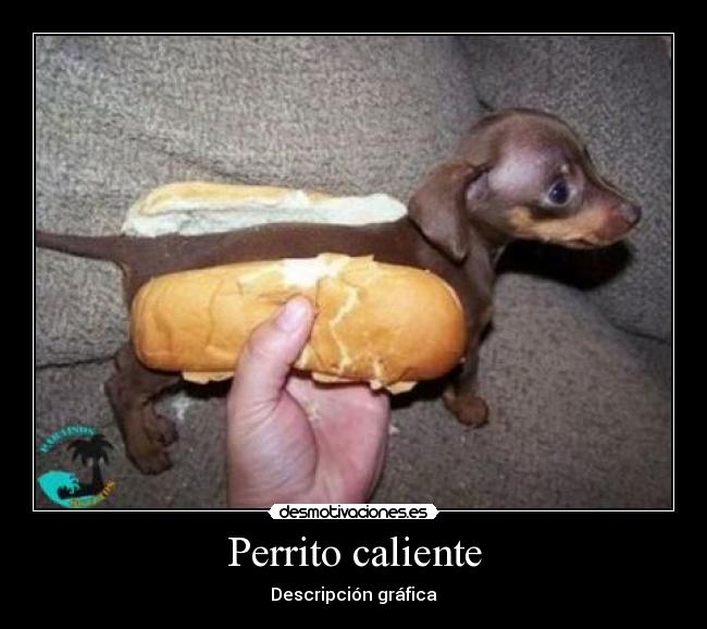 Perrito caliente -