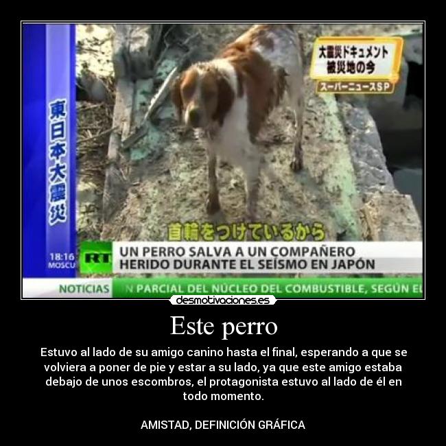 Este perro -