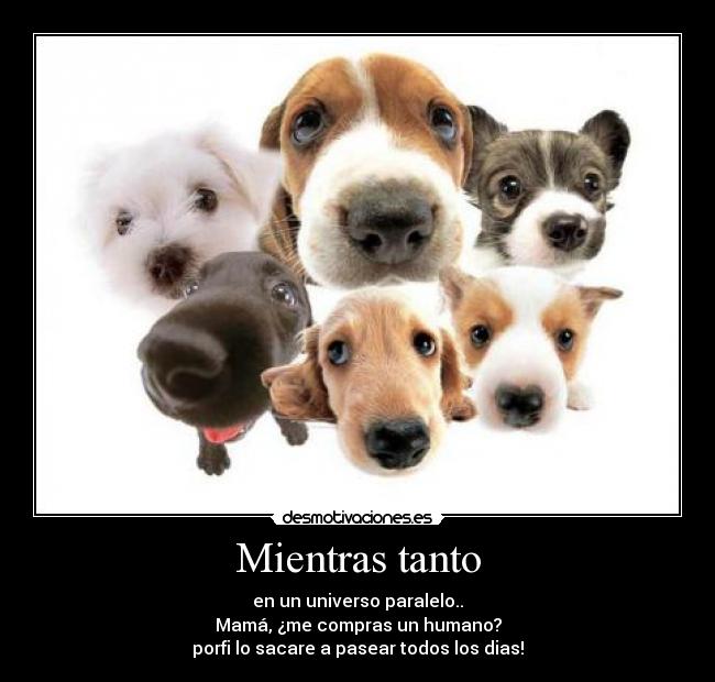 Mientras tanto - en un universo paralelo..
Mamá, ¿me compras un humano?
porfi lo sacare a pasear todos los dias!