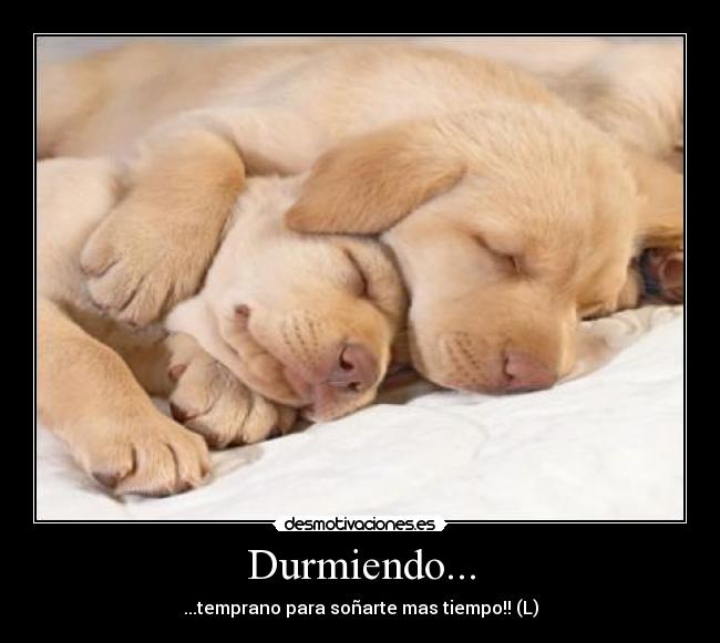 Durmiendo... - 