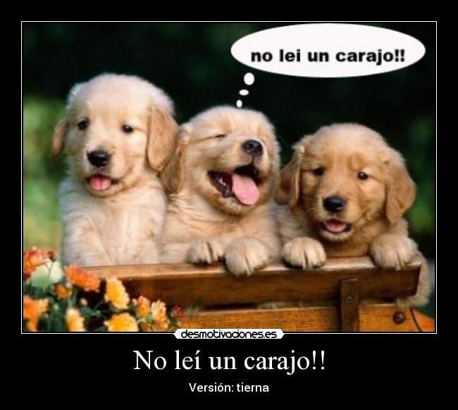 No leí un carajo!! -