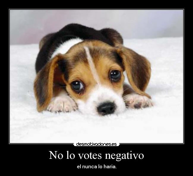 No lo votes negativo - 