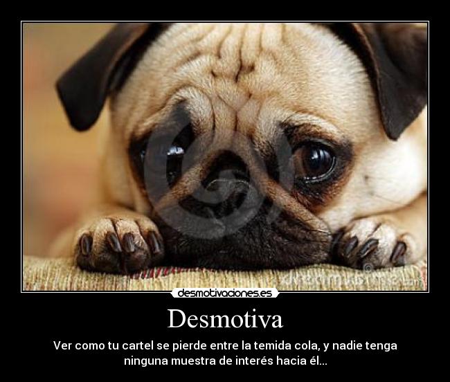 carteles trste perrito desmotivaciones desmotivaciones