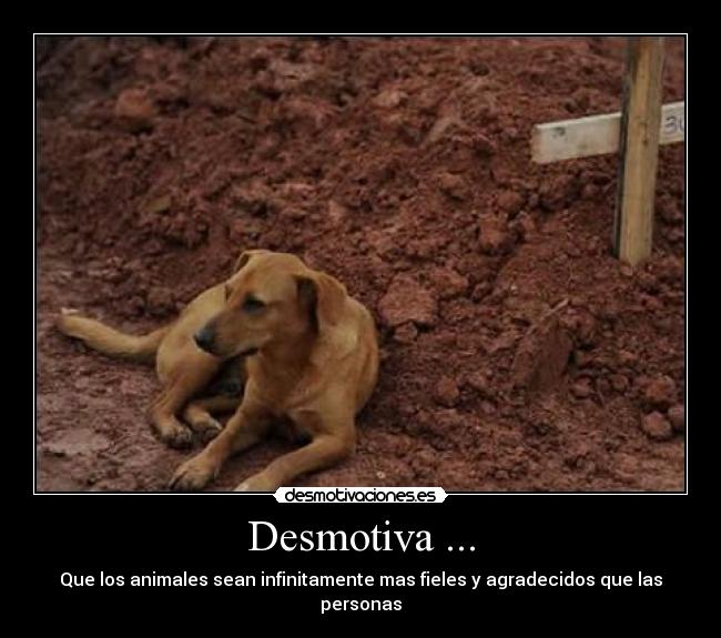 Desmotiva ... -