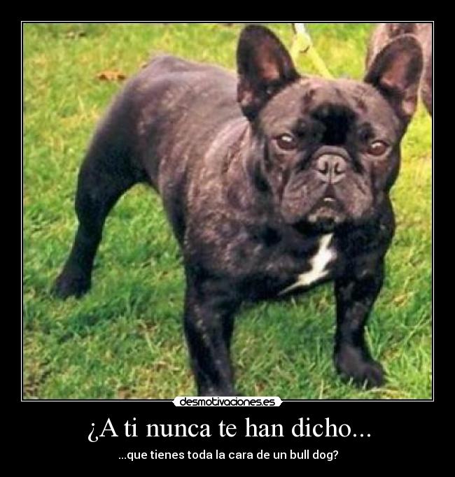 ¿A ti nunca te han dicho... - 