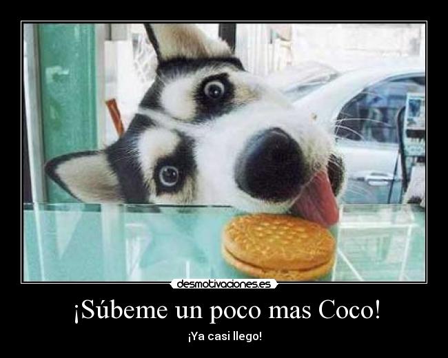 ¡Súbeme un poco mas Coco! - 
