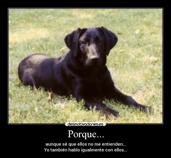 Porque... - 