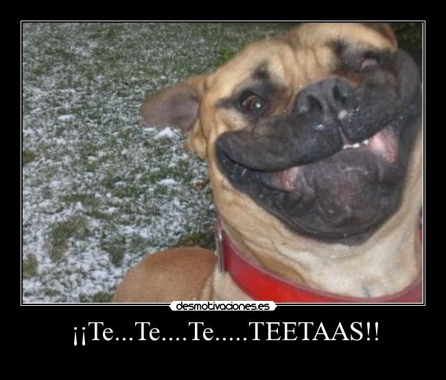 ¡¡Te...Te....Te.....TEETAAS!! - 