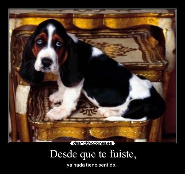 Desde que te fuiste, - ya nada tiene sentido...