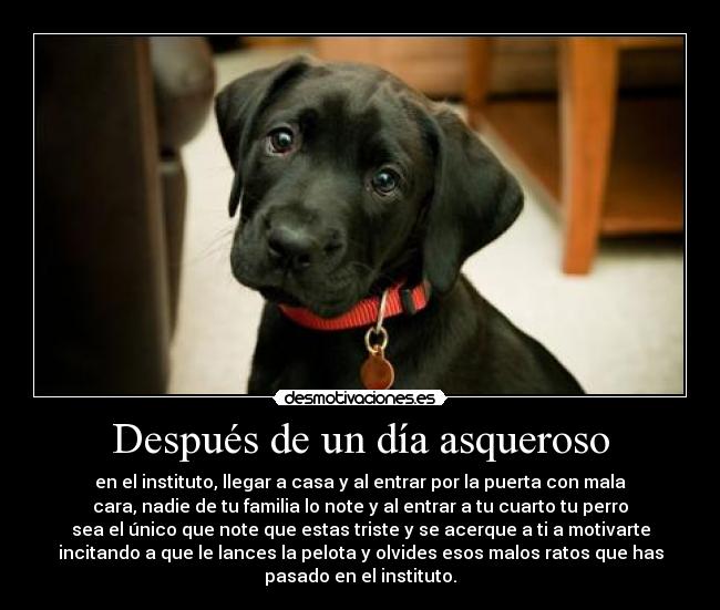 Después de un día asqueroso -